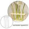 DECHOUS 6Pcs Clear Test Tubes for Plant 6 Inch Propagation