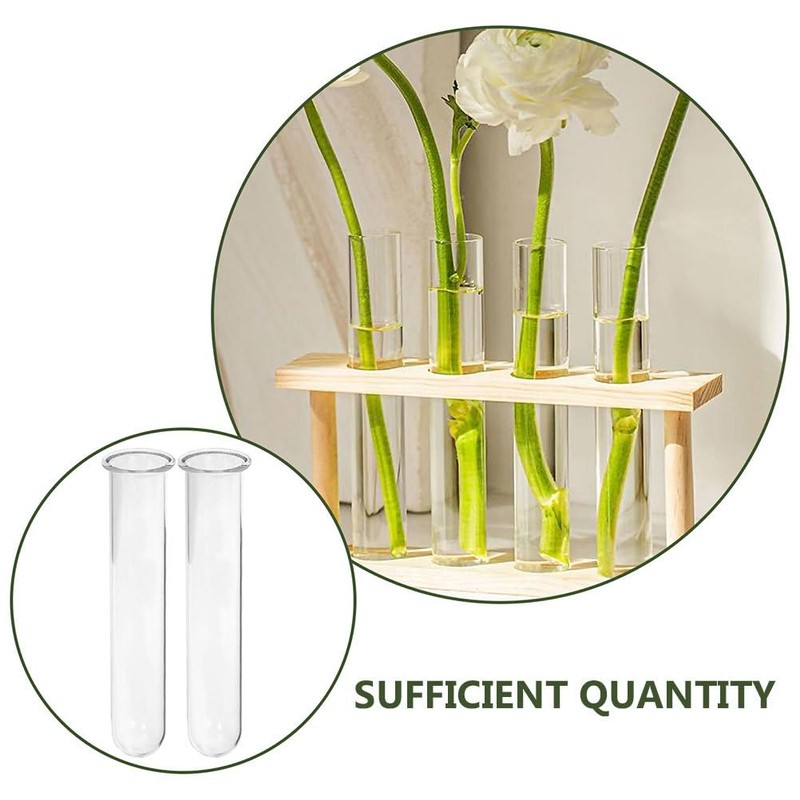 DECHOUS 6Pcs Clear Test Tubes for Plant 6 Inch Propagation