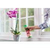 Miracle-Gro Ready-To-Use Orchid Plant Food Mist, 8 oz., Orchid Food