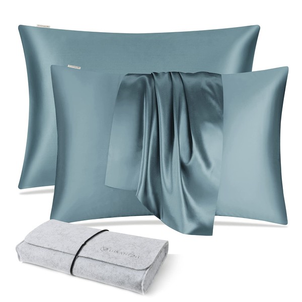 DISANGNI 100% Natural Mulberry Silk Pillow case for Hair and