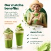 Matcha en Polvo Orgánico Japonés Organic Japanese Green Tea Matcha
