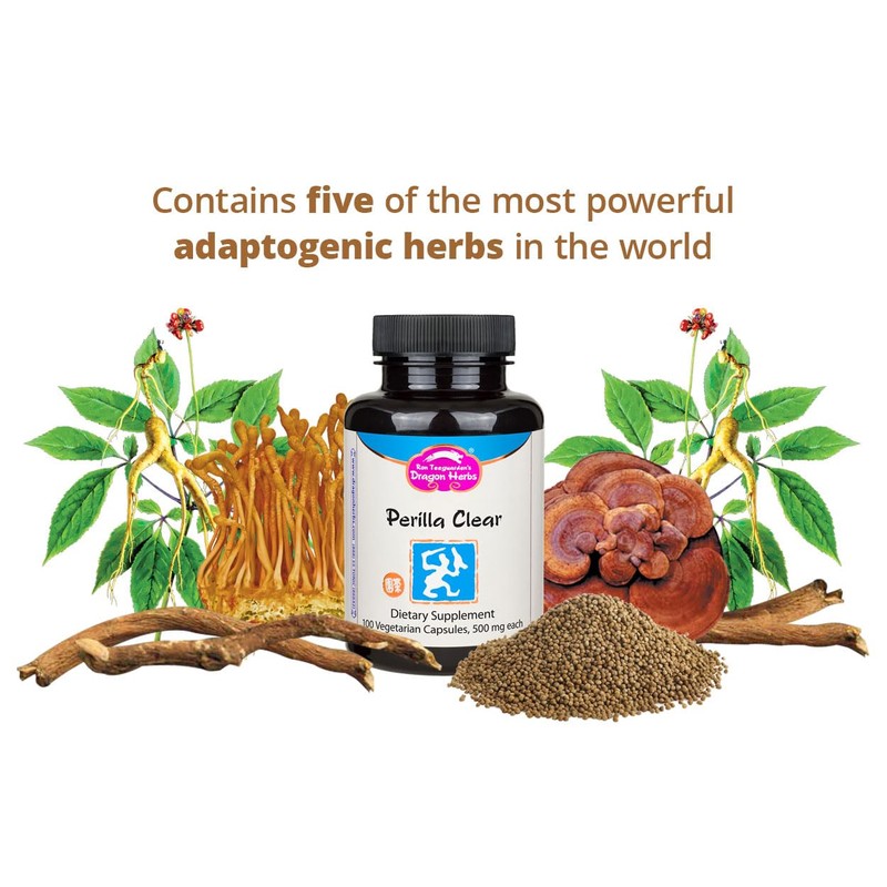 Dragon Herbs - Perilla Clear Capsules - 60 Capsules, 500