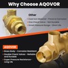 1/2" 9D-M3 Backflow Preventer, Brass Dual Check Valve with Intermediate