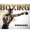 bokalaka Boxing Gloves White Gold Premium Faux Leather Training Gloves