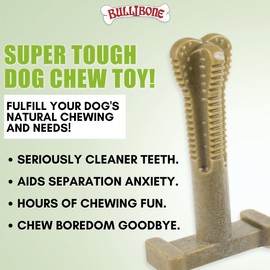 Bullibone SuperBrush: Dog Teeth Cleaning Brushing Toothbrush Stick - Long Lasting Nylon Super Greens Chew Toy for Oral Care and Dental Health