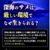 スクワレンピュア30粒 2袋セット 計60粒 純度99% 1粒中 深海鮫エキス 450mg配合 スクワレンとは深海鮫の肝油 ソフトカプセル 純度99％のスクワレンを、一切の添加物を加えずにピュアなままカプセルに