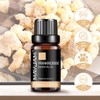 MAYJAM Essential Oil Frankincense 10ml Aroma Oil Essential Oil