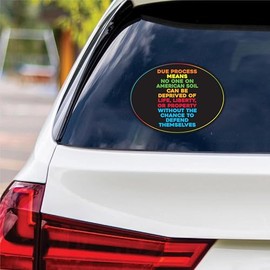 Due Process Save Democracy Resistance Vinyl Sticker, Resist Hate Decal, Anti-Trump, Resist Racism, Resist Fascism Bumper Sticker, 6" x 4.5"