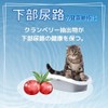 Pet Sweat Jelly for Cats, Set of 7 x 3