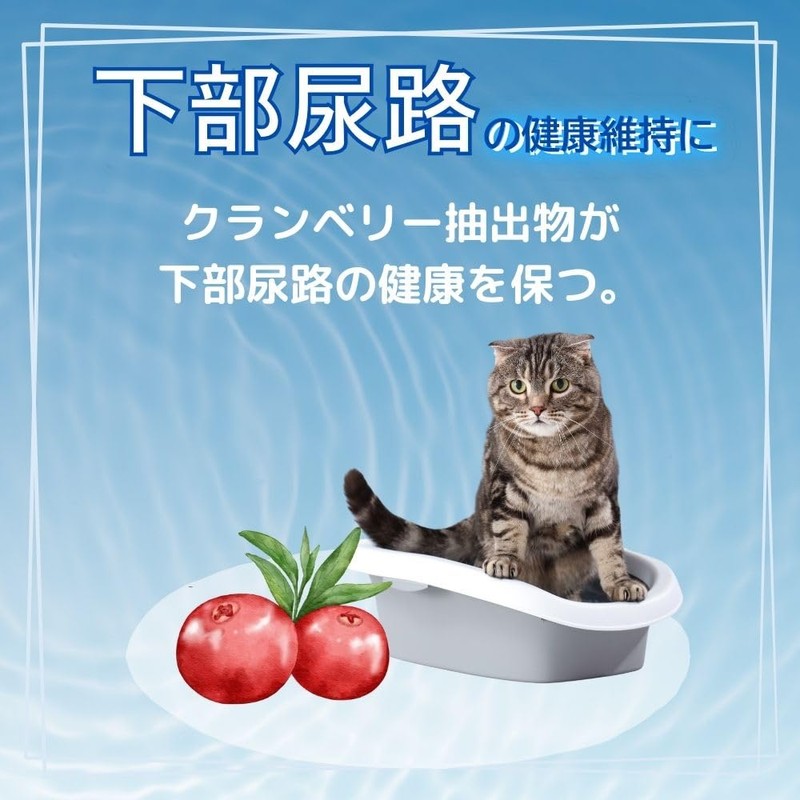 Pet Sweat Jelly for Cats, Set of 7 x 3