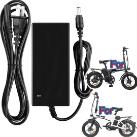 RXQMXG 42V AC Adapter For Nakto Skylark EBike 36V