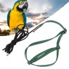 Bird Harness Leash Adjustable Elastic Flying Training Parrot Traction Rope