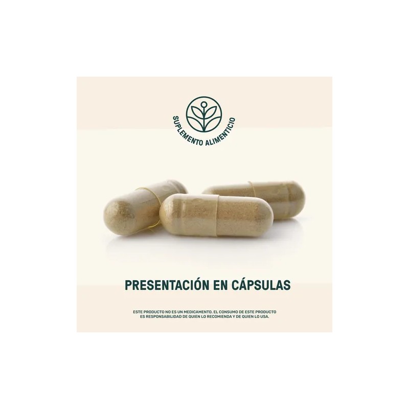 Inositol Life360+ Womens Inositol 360 Cápsulas Suplemento Alimenticio