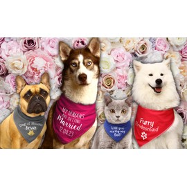 Spoilt Rotten Pets Red Will You Marry My Mum? Dog Bandana -Surprise Wedding, Reveal, Proposal al, Engagement (S1 Tiny Dogs, Chihuahuas & Cats)