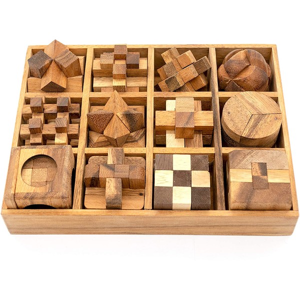 Fun Games for Adults 3D Wooden Puzzle Brain Teasers and Educational Games in Set of 9 Wooden Puzzles to Challenging Puzzles for Adults and Brain Games for Kids Suit for Living Room (12 Puzzle Set)