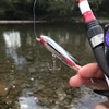 Heddon Zara Spook 3/4 oz Fishing Lure - Flitter Shad