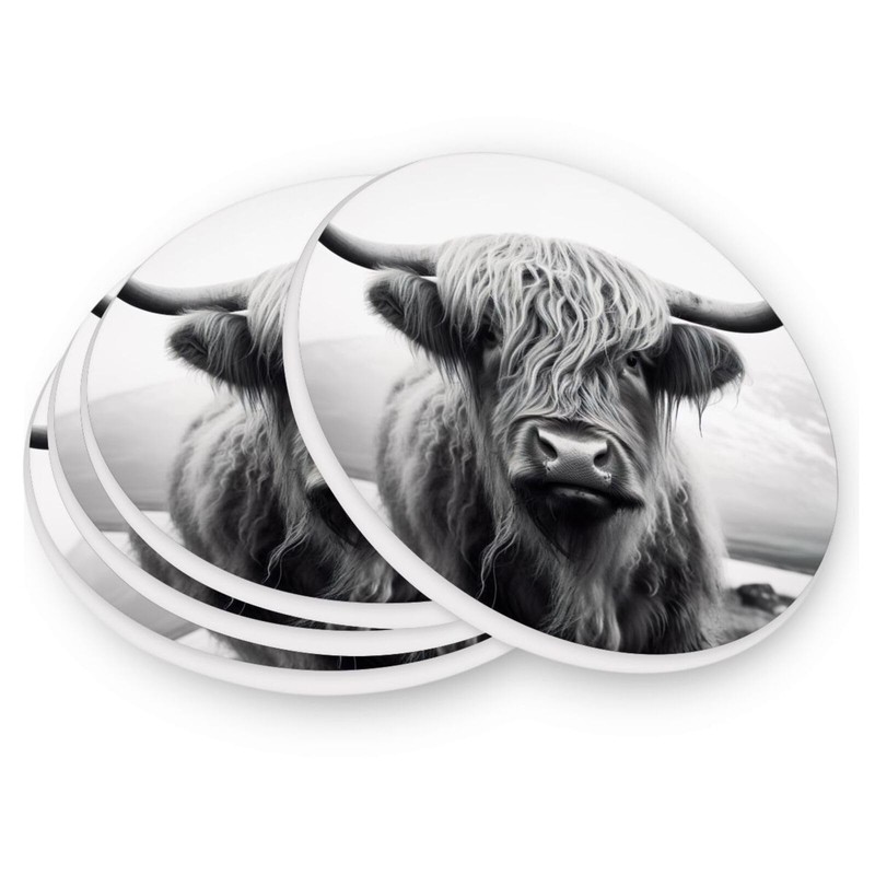 Vibiliyou 4PCS Coasters with Cork Base Desktop Protection Mat Absorbent