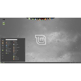 Tech Store On Linux Mint Cinnamon Operating System Install Bootable Boot Recovery Live USB Flash Thumb Drive - Great Everyday OS for Everyone! USB-C Compatible