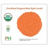 Organic Red Split Lentils aka Masoor Dal low calories rich