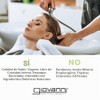 GIOVANNI 2chic Repairing Blackberry & Coconut Hair Oil Serum, 2.75oz
