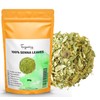 200 g Whole Sennes Leaves (Senna Alexandrina) - Detoxification Herbal
