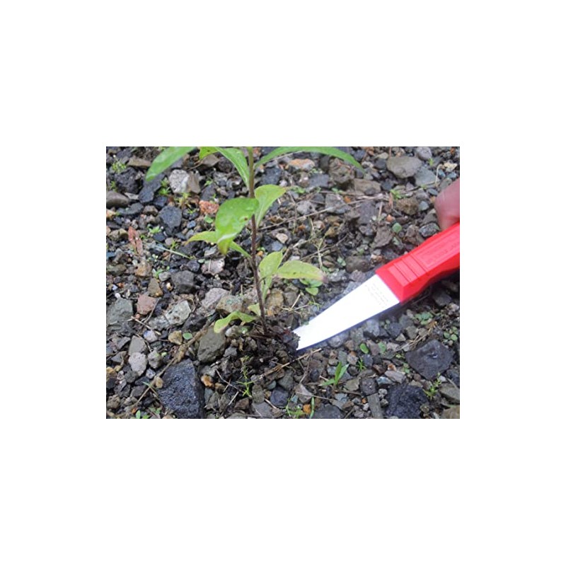 Weeds, Roots, Pull, Weed, Made in Japan, Stainless Steel