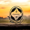 CHARMY Cacau Ruby Tea | 10 Teabags | Unique Cocoa