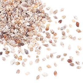 PH PandaHall about 1300-1500pcs No Hole Spiral Shell Beads Natural Seashells for Home Decoration, Beach Theme Party Wedding Decor, Fish Tank and Vase Filler,LemonChiffon color