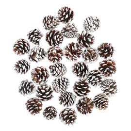 ENLACE Pack of 30 Pine Cones, Approx. 2-3 cm, Small Christmas Pine Cones with White Paint, Natural Pine Cones Decoration for Christmas Decoration, DIY Crafts, Christmas Tree, Autumn Winter Decoration