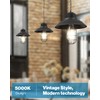 Sunco 12 Pack Vintage LED Edison Bulbs, 75W Equivalent 8.5W,