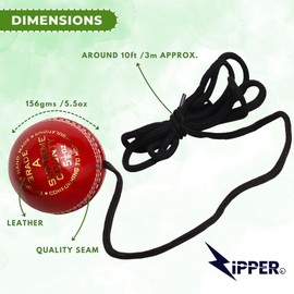 ZIPPER UK String Cricket Ball for Solo Batting Practice, Leather Hanging Cricket Ball on String for Batting Practice, Indoor & Outdoor Use
