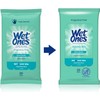 Wet Ones Toallitas antibacterianas para manos, 20 unidades (paquete de