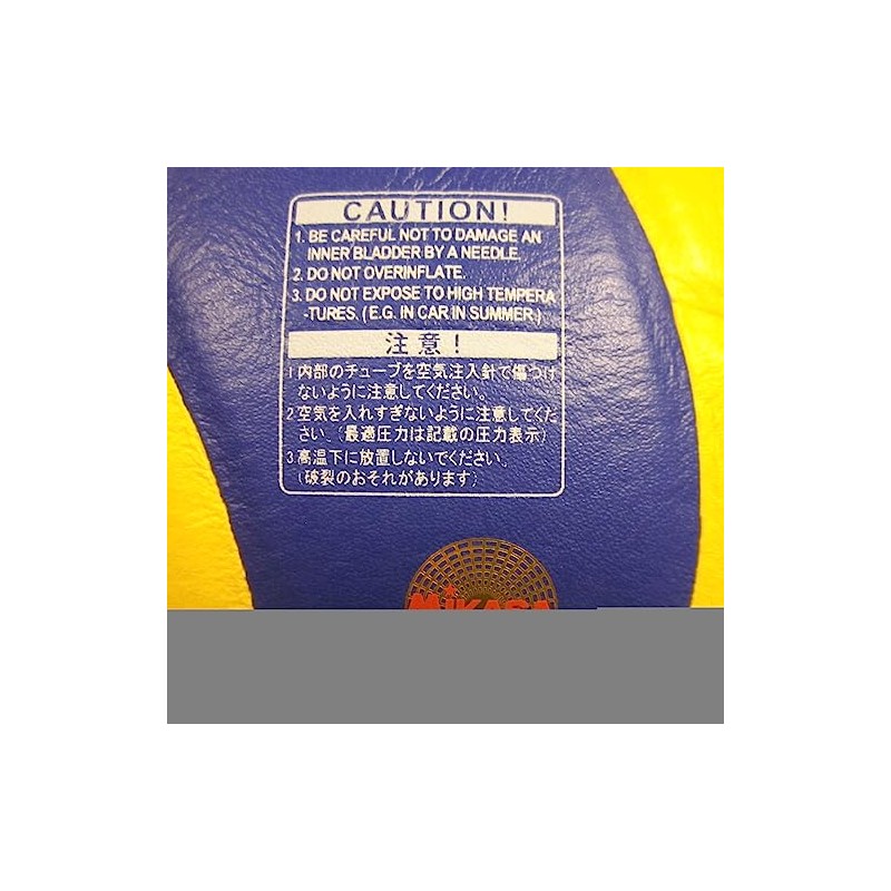 Mikasa Volleyball V333W School Pro