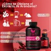 Urinary Blend NSN™ | Tracto Urinario Saludable para Mujeres |