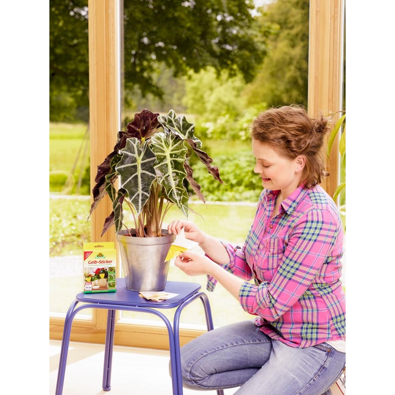 Neudorff Yellow Sticker