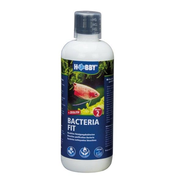 Hobby 51140 Bacteria Fit