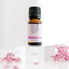 ECO. Modern Essentials Jasmine 3% Essential Oil, 10ml