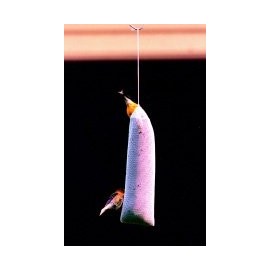  Havegard Thistle Seed Bag (Empty)