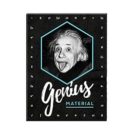 Nostalgic-Art, Einstein Retro Fridge Magnet - Genius Material - Gift Idea for Students - Vintage Metal Fridge Magnet 6x8cm