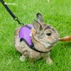 Niteangel Adjustable Soft Harness with Elastic Leash for Rabbits (M,
