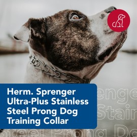Herm Sprenger - Stainless Steel Ultra-Plus Prong Dog Training Collar - 2.25 mm x 12" Neck Size; 16" Chain Length
