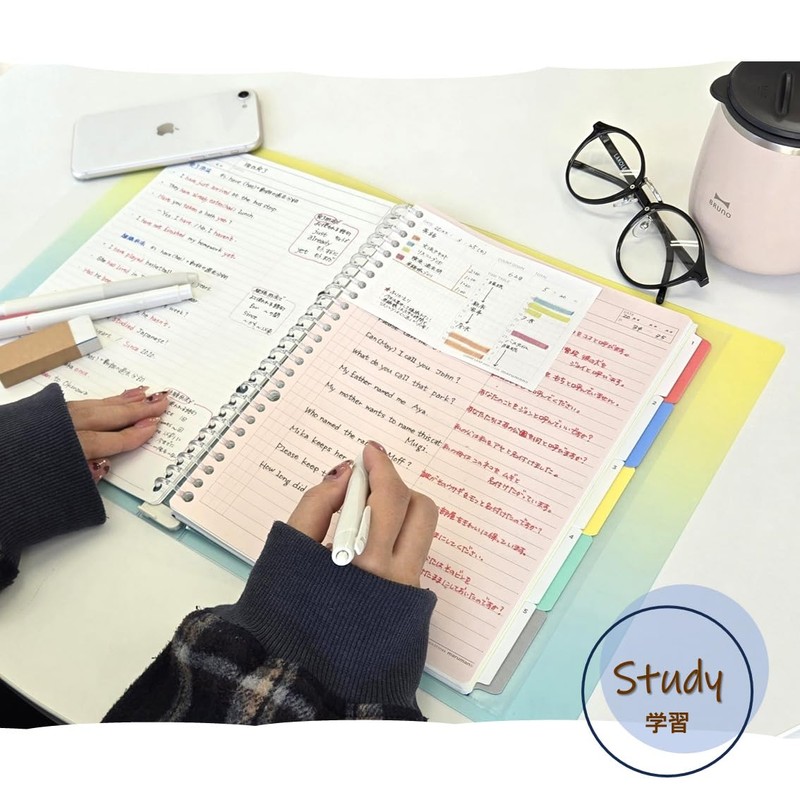 Maruman F310A-52A Loose Leaf Binder Session B5, 26 Holes, Sora