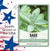 Gardeners Basics, Sage Seeds for Planting Heirloom, Non-GMO Herb Variety-