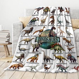 Dinosaur Blanket for Boys Girls,Dinosaur Gifts for Kids Blanket,Funny Throw Blanket,Soft Cozy Flannel Blanket Room Decor Gifts for Boys Girls Kids Size-40"x50"