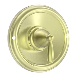Replacement for Moen T2151BG Brantford Posi-Temp Valve Trim Kit, Brushed Gold Shower Trim Kit Shower Lever Handle (#2510 Valve Required)