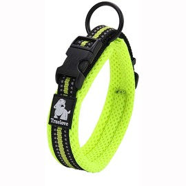 Truelove Dog Training Collar TLC5011 Reflective Premium Buckle Nylon Webbing Pet Dog Collars,High Grade Nylon Webbing No Choke Basic Collars Now Available (2XS, Neon Yellow)