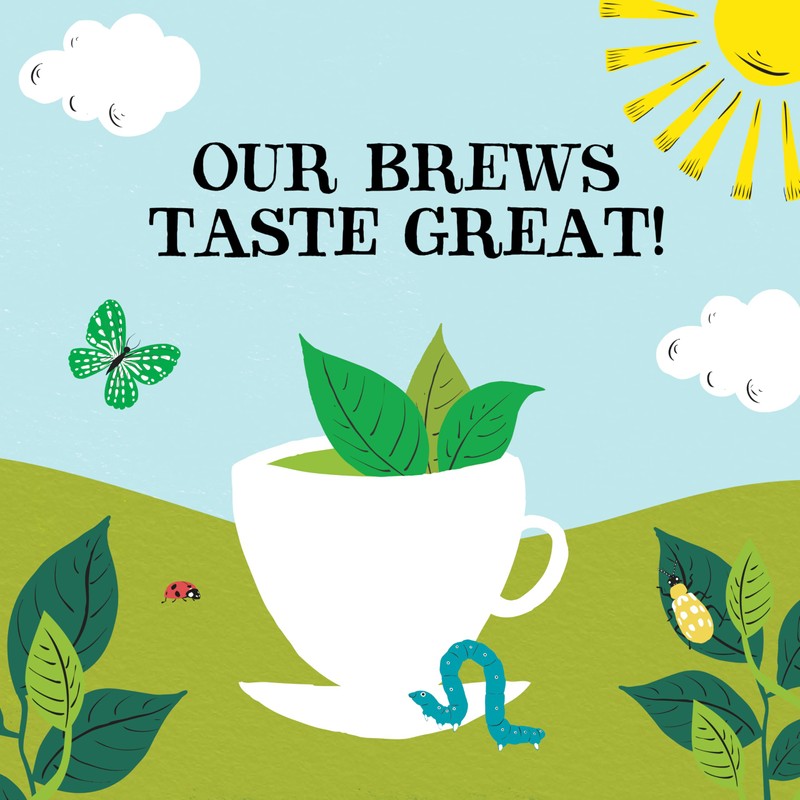 CLIPPER Pure Green Teabags 80bags (PACK OF 1)