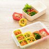 Bento for dividing storage container SMT2SL
