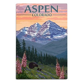 Lantern Press Aspen, Colorado, Bear and Spring Flowers (12x18 Aluminum Art, Indoor Outdoor Metal Sign Decor)