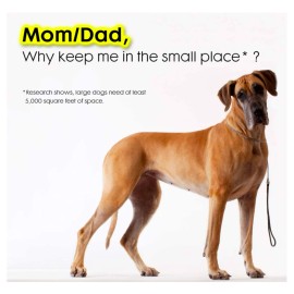 MaoZhan Wireless Dog Fence Electric System IP65 1640 Feet KD-661C Harmless for All Dogs